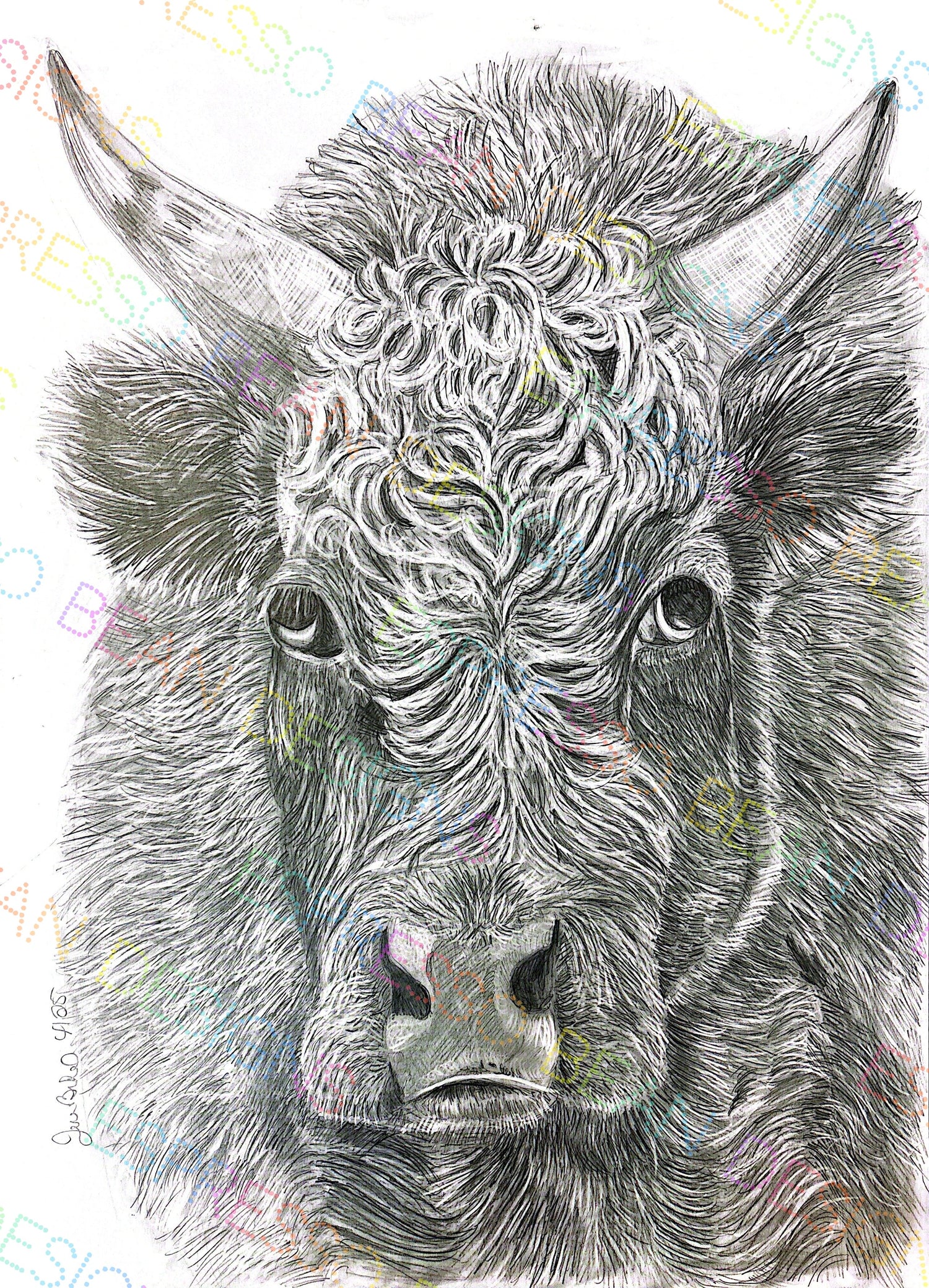 Happy Trails Farm Animal Sanctuary