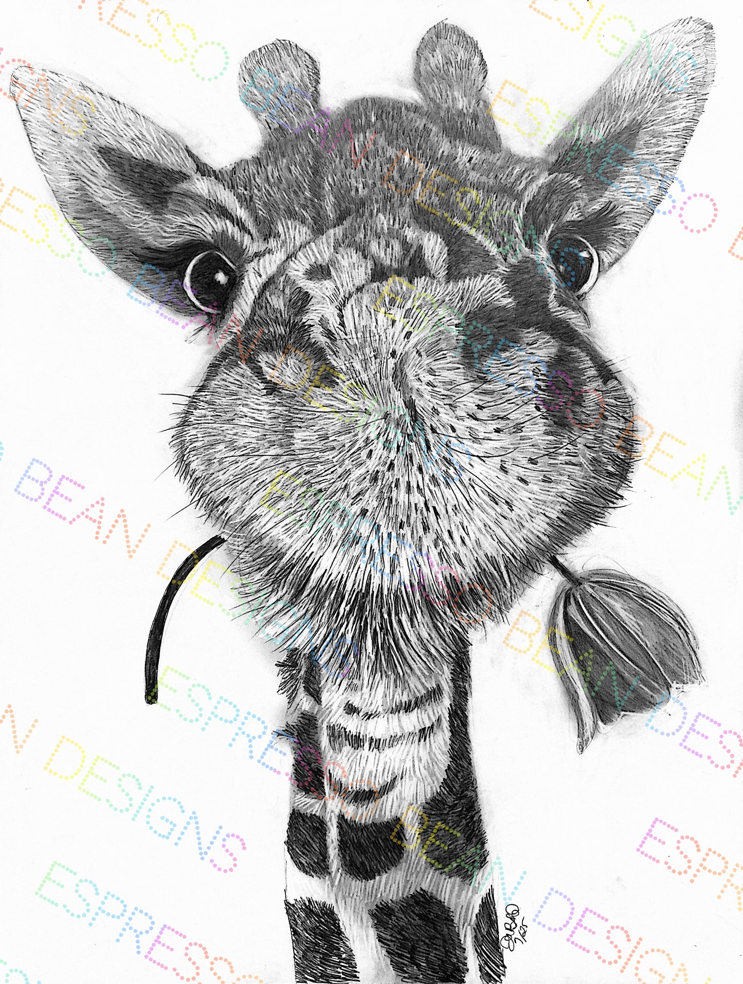 Giraffe