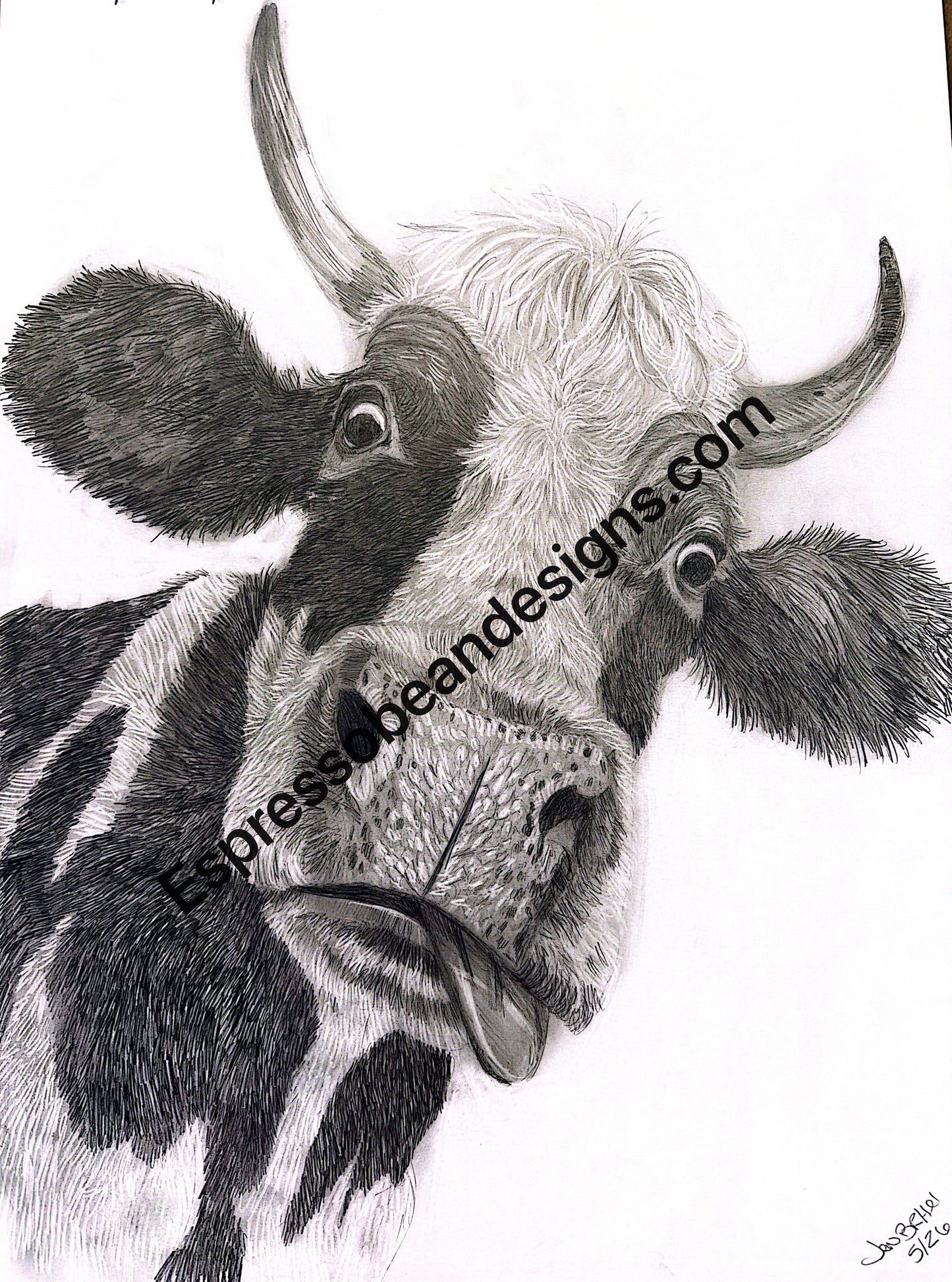 Mabel Moo