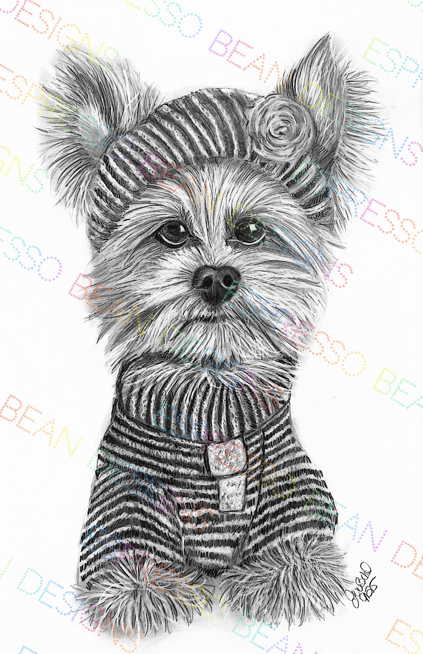 Little Yorkie All Dressed Up