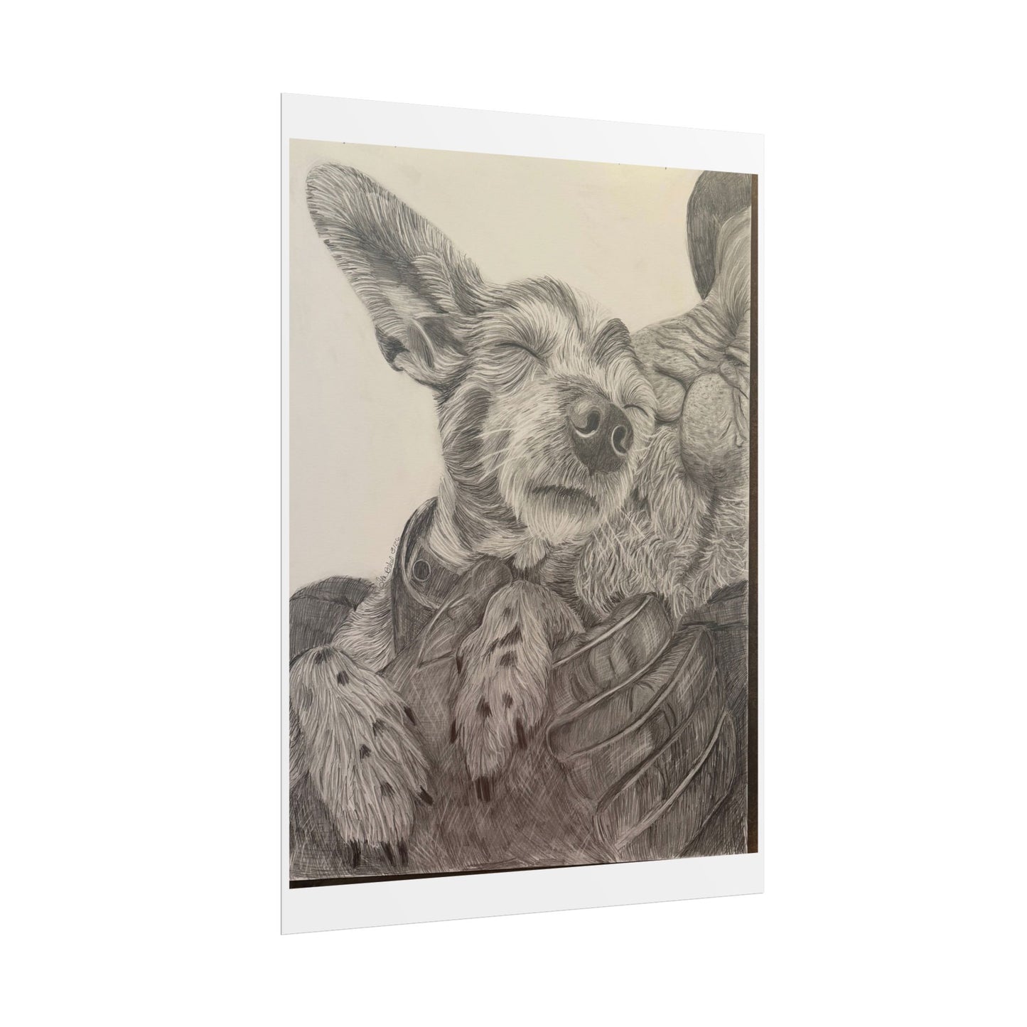 Rolled Poster — love needs no address Wall Art Print