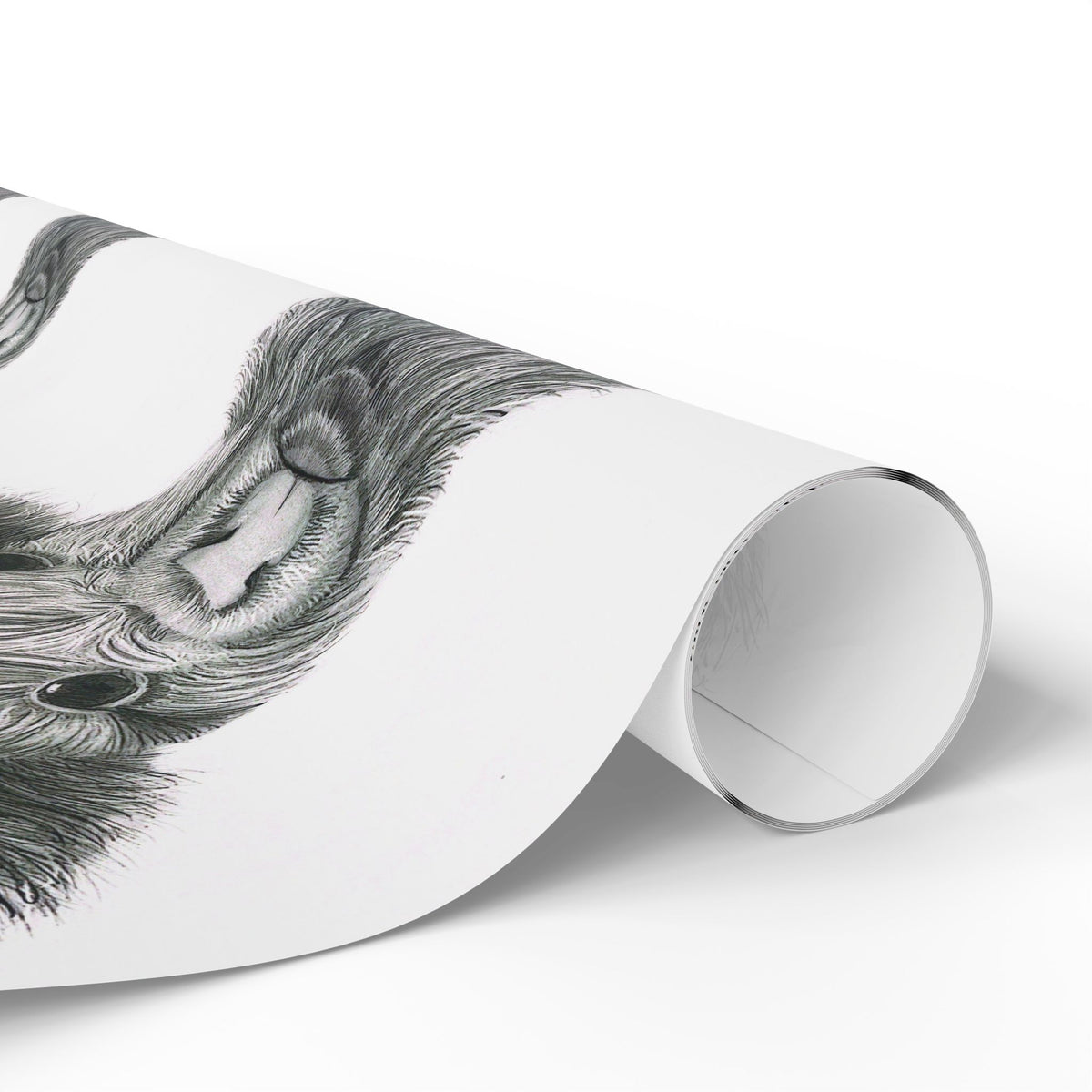 Highland Cow Wrapping Paper Roll — Black & White Highland Cattle Gift Wrap