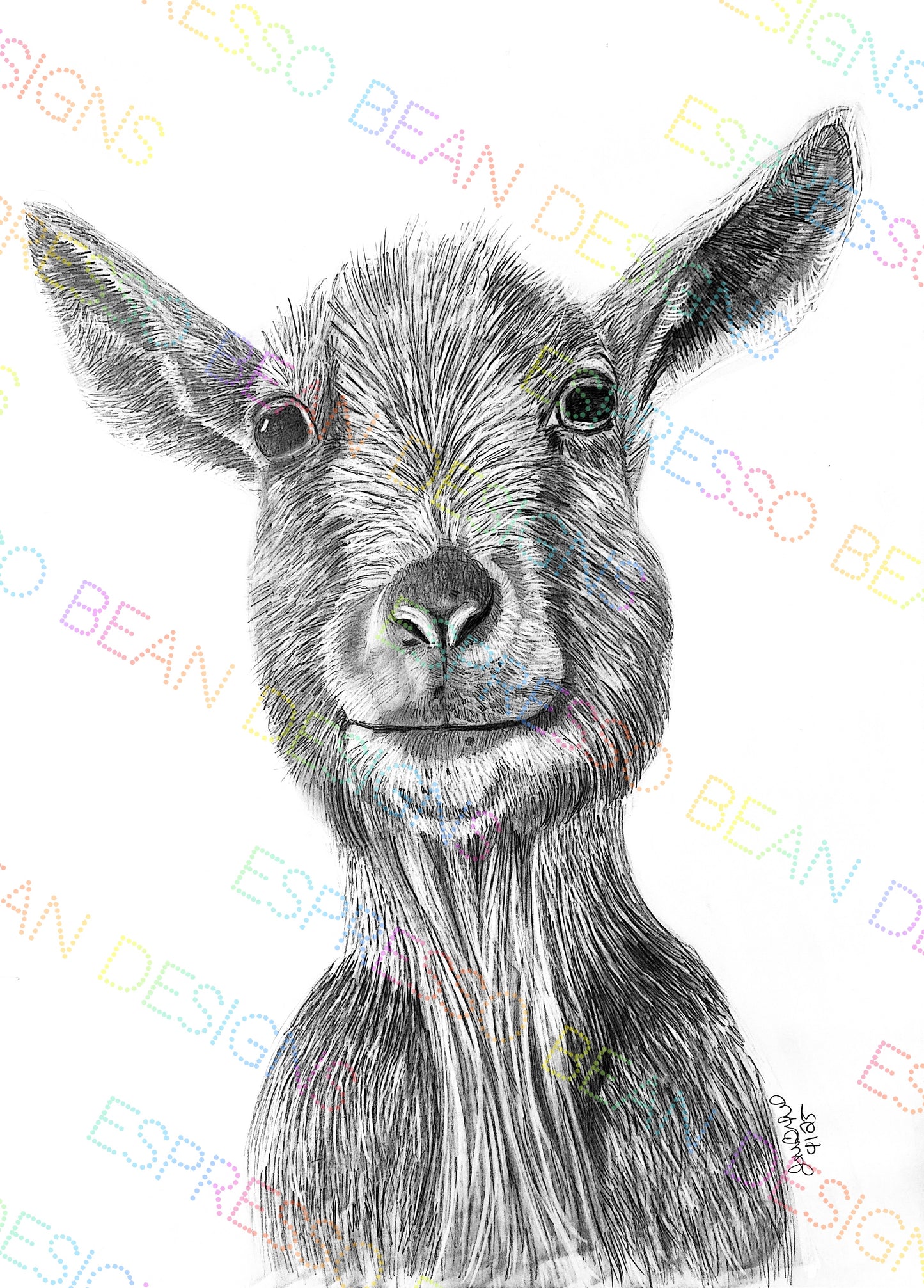 Bea