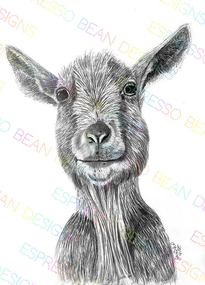 Bea