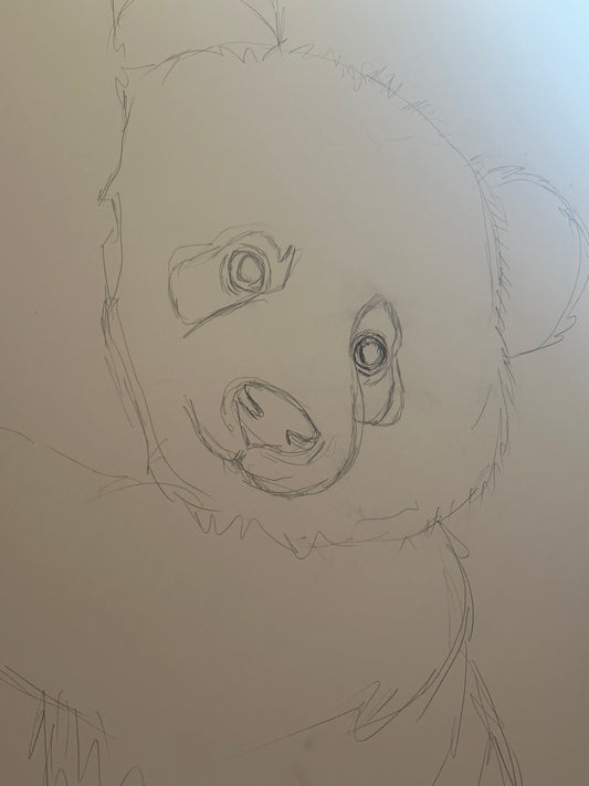 Panda on the drawing table