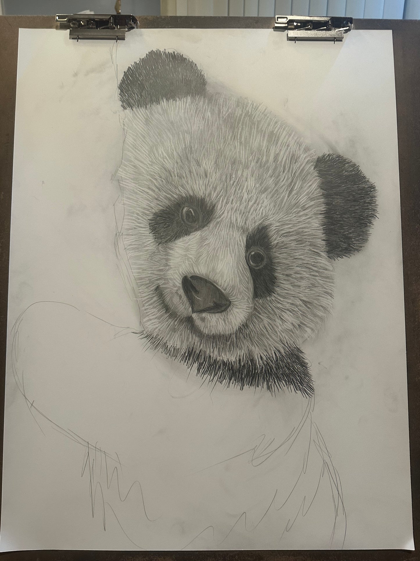 Panda on the drawing table