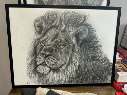 lion original pencil portrait