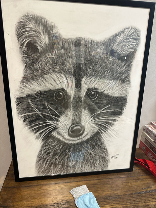 Cute Raccoon