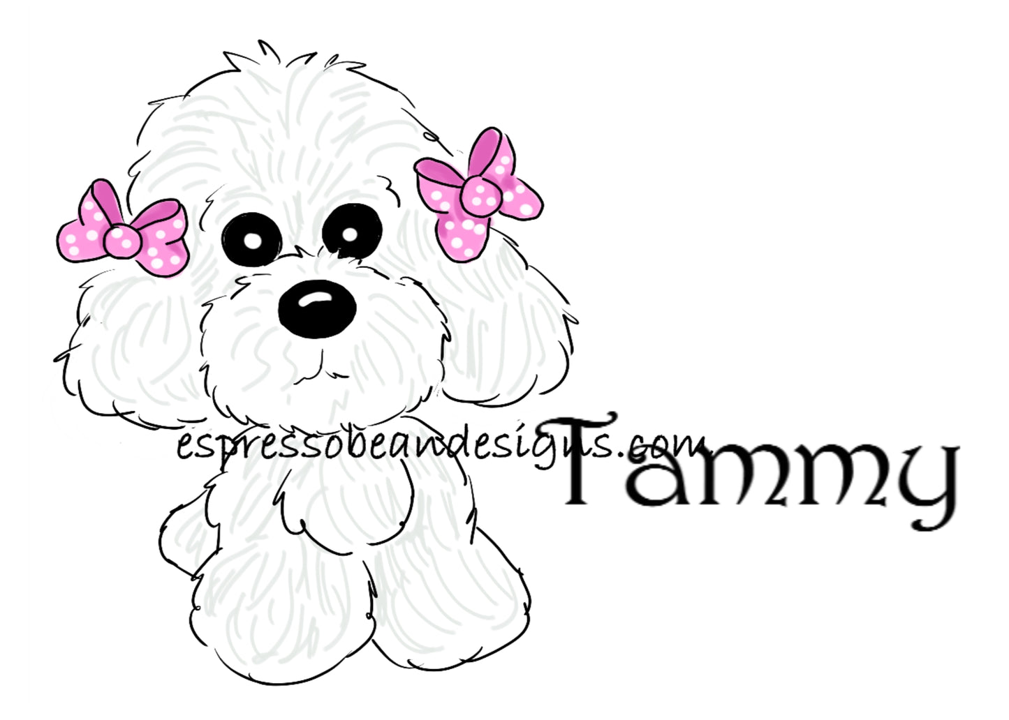 Bichon with pink bows