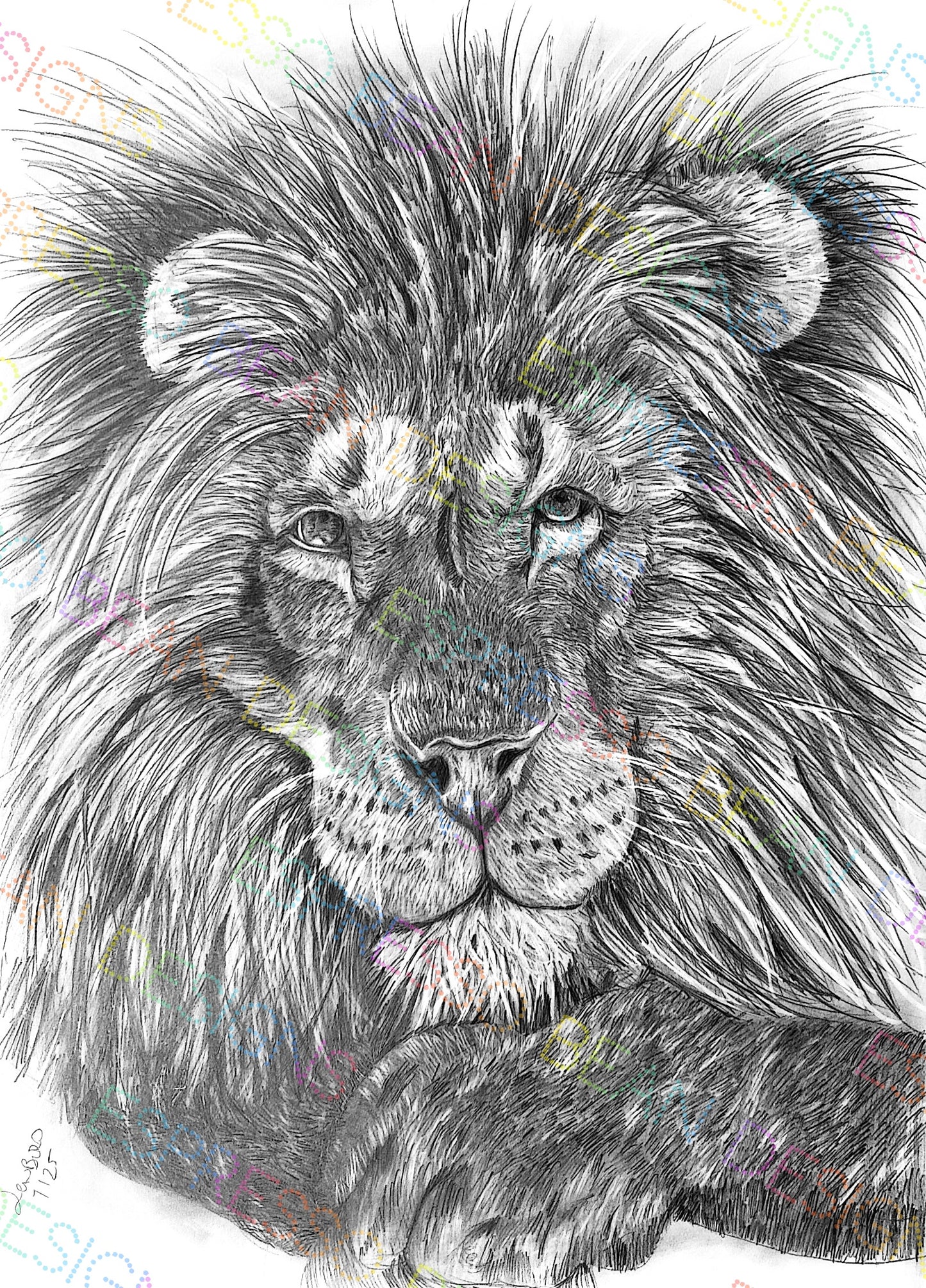 Lion