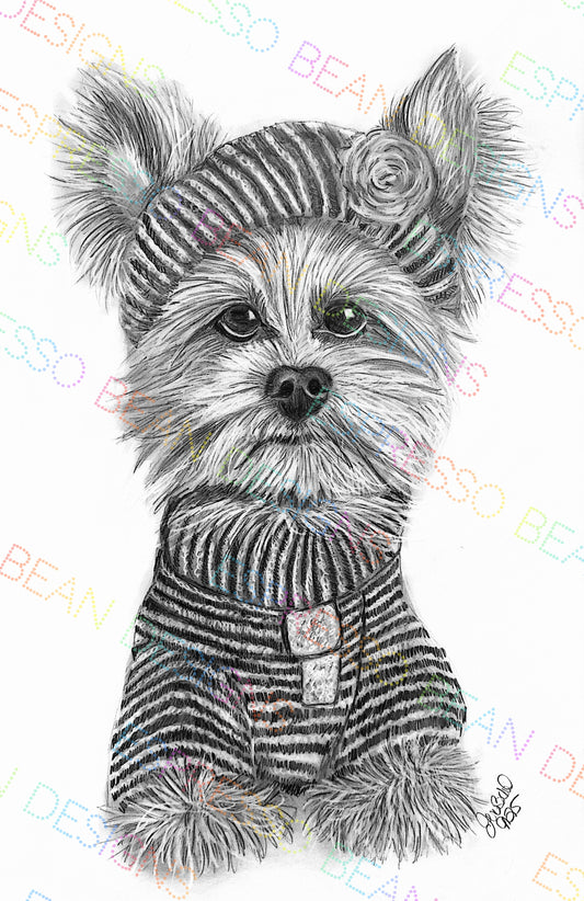 Little Yorkie All Dressed Up