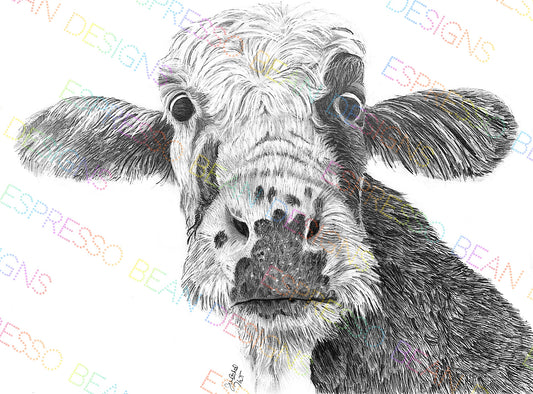 Cow