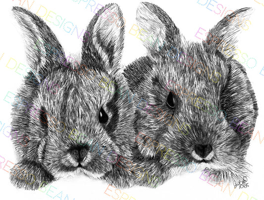 Two Bunnies